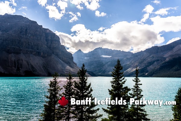 Banff Icefields Parkway
