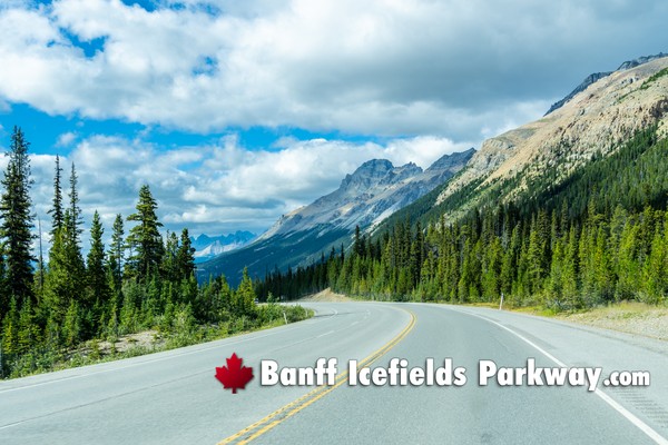 Banff Icefields Parkway
